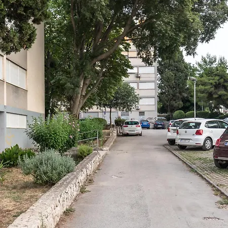 Ultimo * 스플리트